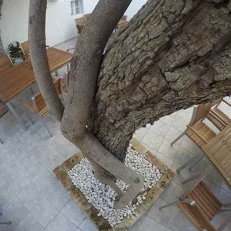 Bed & Breakfast Neho 4*