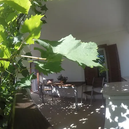 Bed & Breakfast Neho 4*